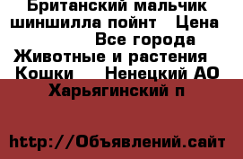 Британский мальчик шиншилла-пойнт › Цена ­ 5 000 - Все города Животные и растения » Кошки   . Ненецкий АО,Харьягинский п.